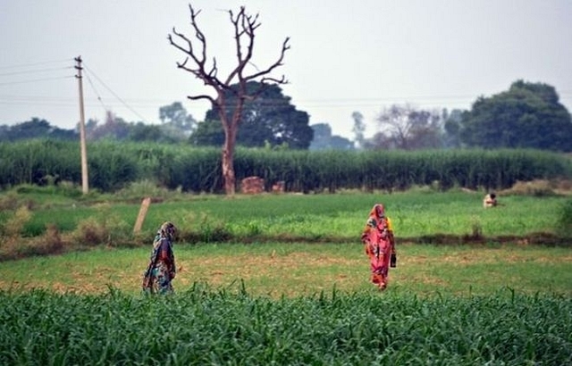 Open defecation in India.

