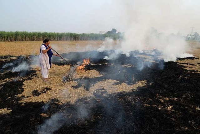 

                                                Paddy Stuble burning (Shammi Mehra/AFP/Getty Images)
                                            

