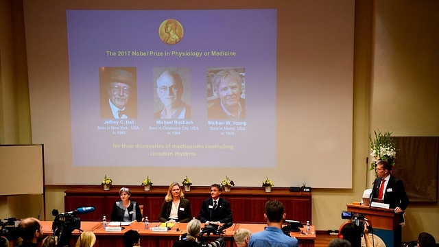 Winners of the 2017 Nobel Prize in physiology or medicine, from left, Jeffrey C Hall, Michael Rosbash and Michael W Young are pictured on a display during a press conference at the Karolinska Institute in Stockholm on 2 October. (JONATHAN NACKSTRAND/AFP/Getty Images)