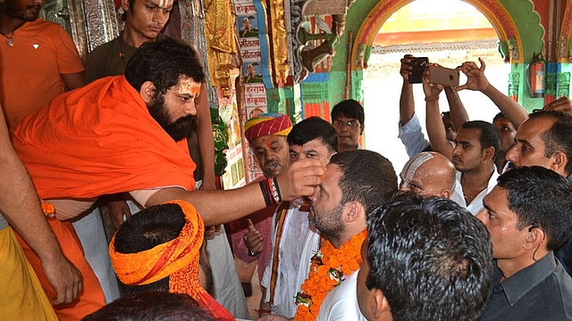 Congress vice-president Rahul Gandhi seeks divine blessings. (Saurabh/Hindustan Times via GettyImages)&nbsp;