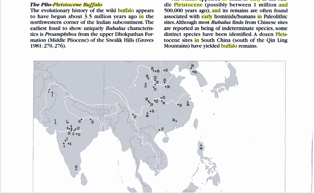 ‘True Indology’ Responds