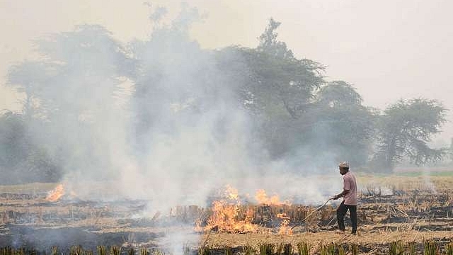 Paddy stubble burning in Punjab (NARINDER NANU/AFP/GettyImages)