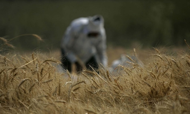 <p> Prasad Gori/Hindustan Times via Getty Images</p>