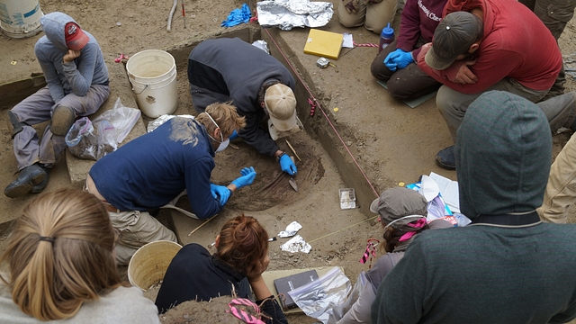 University of Alaska Fairbanks archaeologists Josh Reuther and Ben Potter work on the Upward Sun River site in Alaska. (Ben Potter/UAF)