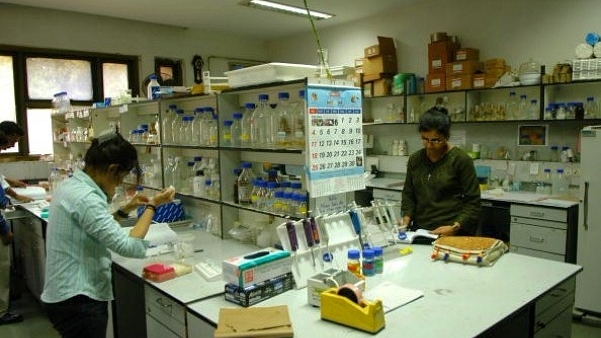 

Researchers and students in a lab at the Indian Agricultural Research Institute. (Sumeet Inder Singh/The India Today Group/Getty Images)