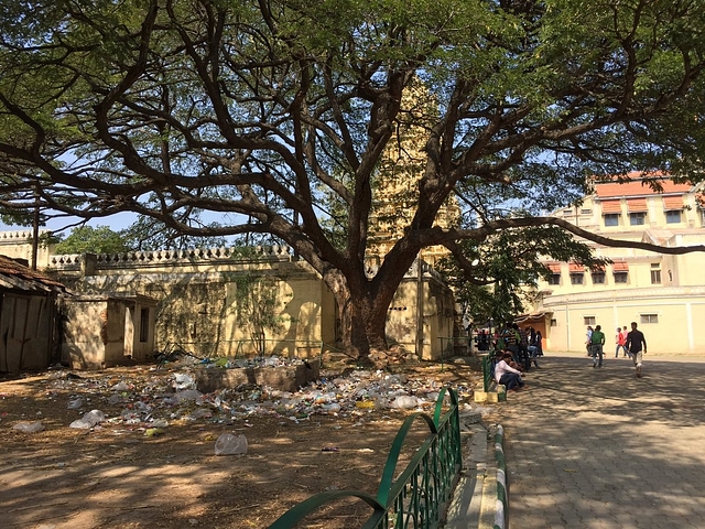 Garbage in Mysore (<a href="https://twitter.com/Pavithr92777979">Pavithra</a>/Twitter)