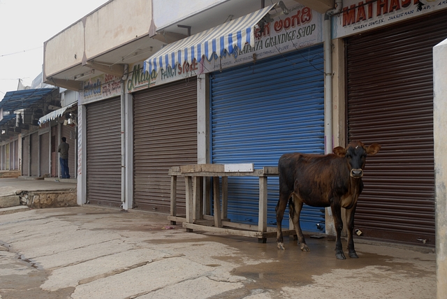 Bangalore wears a deserted look during a strike in 2010 (Hemant Mishra/Mint via Getty Images)