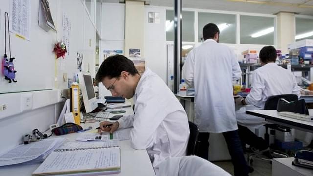 Researchers Plan Clinical Trials Of Antiviral Drug For Cats That May Help Fight Covid-19 In Humans