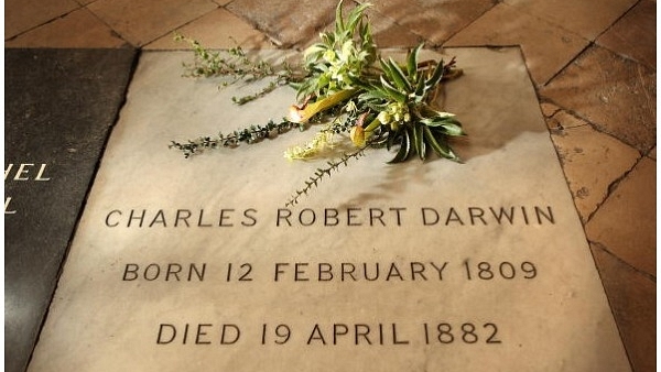 A wreath of plants from Charles Darwin’s garden lie on his grave on the 200th anniversary of his birth at Westminster Abbey on February 12, 2009 in London. (Peter Macdiarmid/Getty Images)&nbsp;