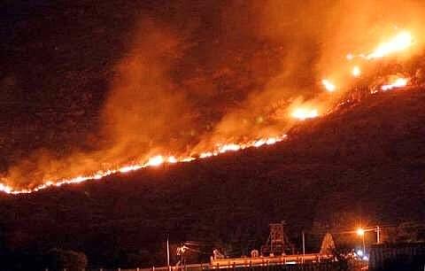 Deadly Forest Fire In Tamil Nadu Claims Lives Of Nine Trekkers