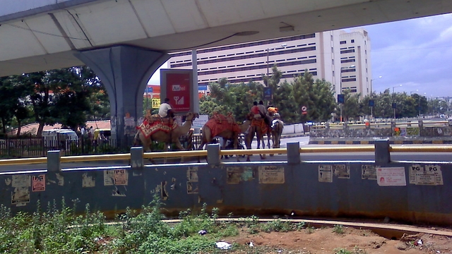 Jayadeva Flyover, Bannerghatta Road. (Srikanth Ramakrishnan/Wikimedia Commons)