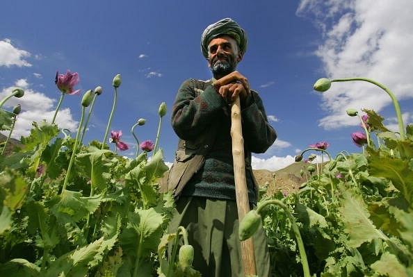 Poppy farmer Abdul Rassod poses as he looks over at his field in Panshar, Afghanistan. (Paula Bronstein/Getty Images)