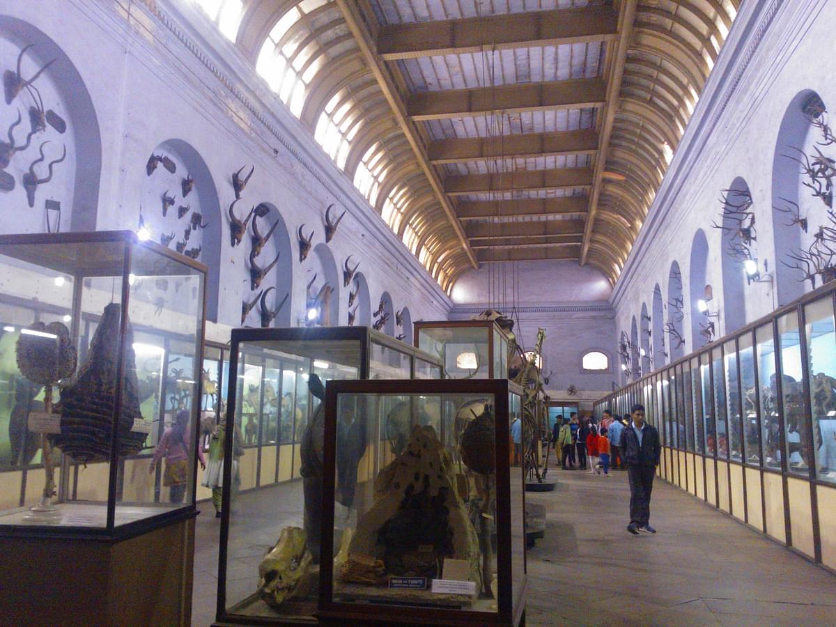 Reimagining Museums In India