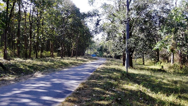 Nagarahole Tiger Reserve