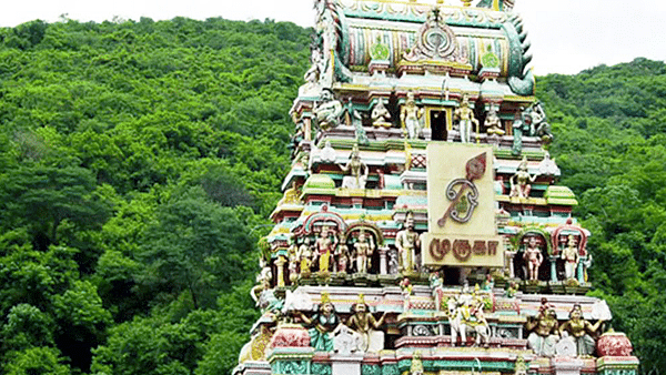 Palani Temple Case Transferred Out Of Idol Wing