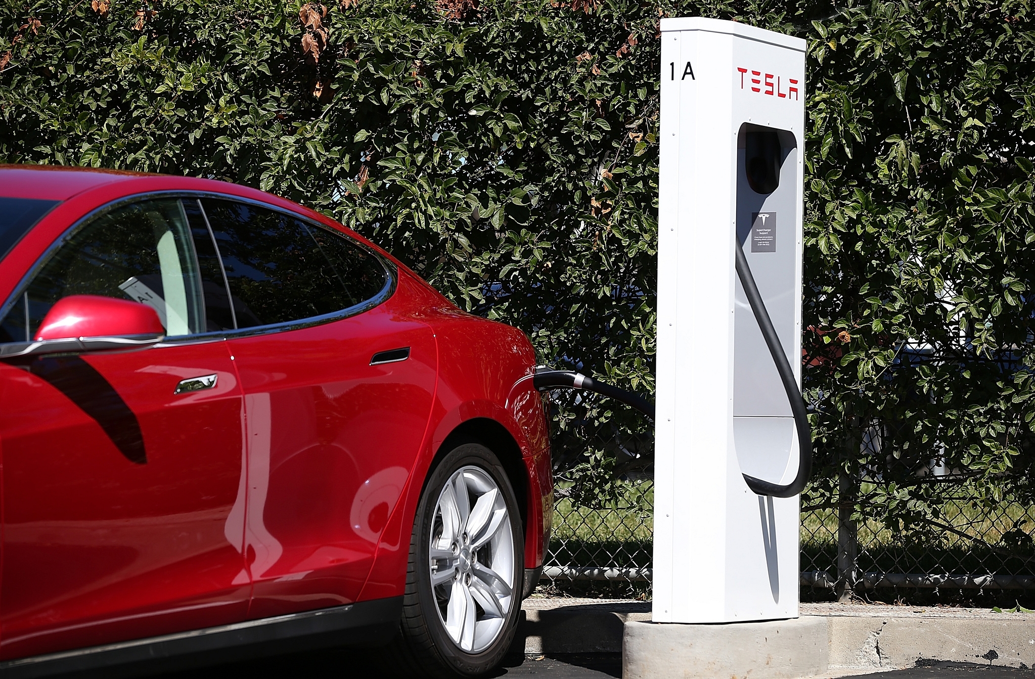 A Tesla Supercharger in Fremont, California (Justin Sullivan/Getty Images)