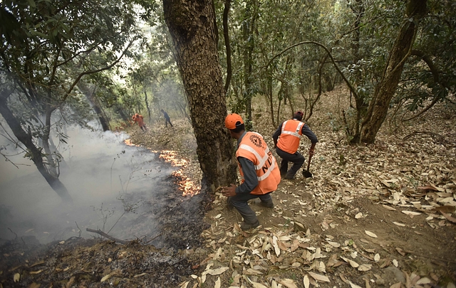 NDRF personnel douse the flames and conduct rescue operation in Uttarakhand. (Arun Sharma/Hindustan Times via Getty Images)