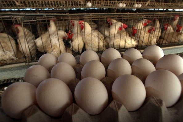 China Ends Near 5-Year Long Poultry Import Ban From The US, To Pave Way For Exports Worth Over $1 Billion