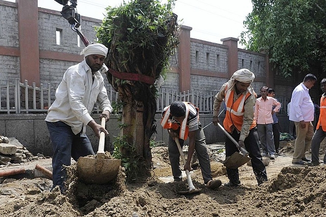 A tree plantation drive in Delhi. (Sushil Kumar/Hindustan Times via Getty Images)