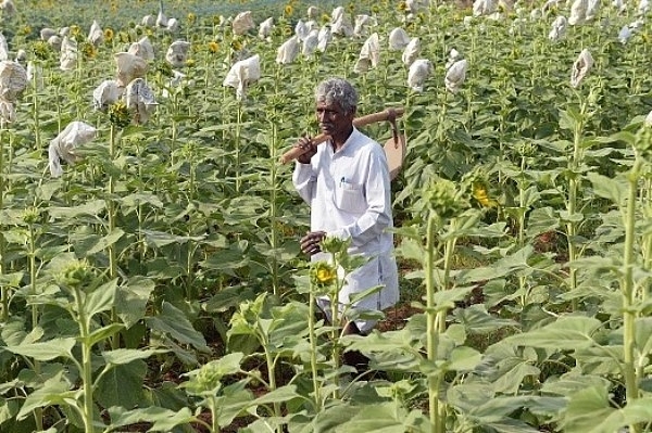 Insured Farmers, Happy Corporates: Rs 15,795 Crore Bonanza For Companies In Two Years Under PM Fasal Bima Yojana 