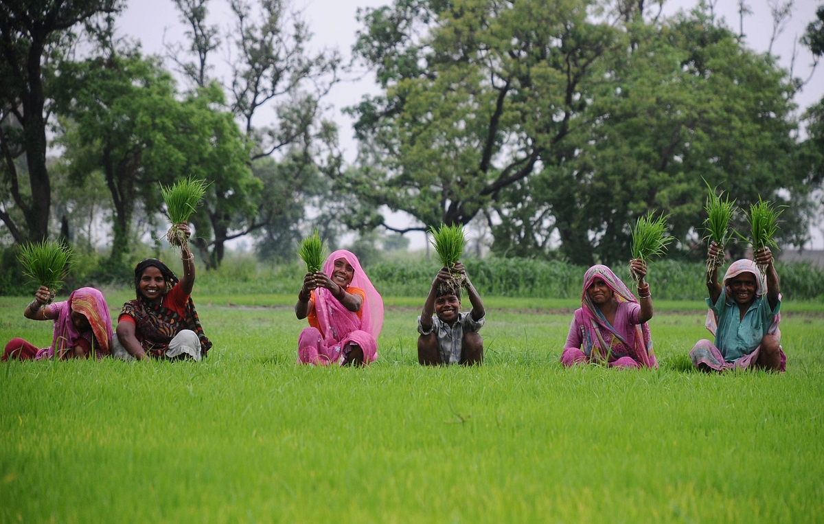 Morning Brief: Government To Announce Highest Ever Raise In MSP For Paddy; SC To Hear Plea Against Polygamy; Another BJP Worker Found Dead In Bengal