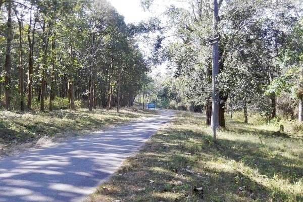 Nagarahole Tiger Reserve