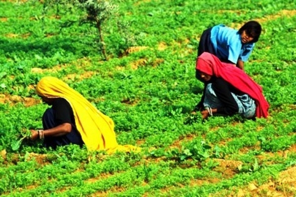 The sector needs to be viewed with a professional lens rather than a statutory obligation (Getty Images)