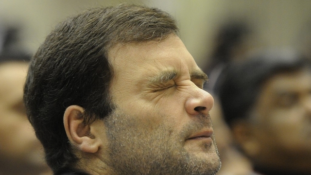 Rahul Gandhi (Vipin Kumar/Hindustan Times via Getty Images)