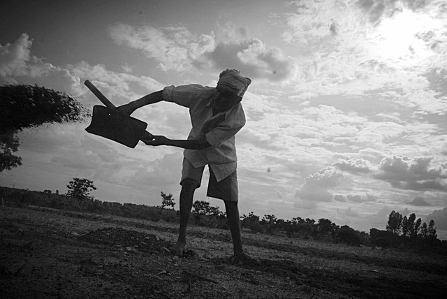 Representational image of a Karnataka farmer growing and cultivating crops at his agriculture land. (Gireesh Gv/The India Today Group/Getty Images)