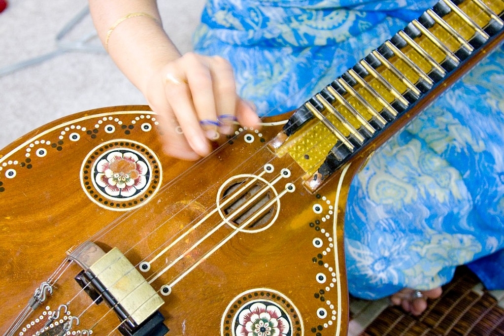 Veena, an instrument used in Carnatic music (Kelvin Kay/Wiki Commons)