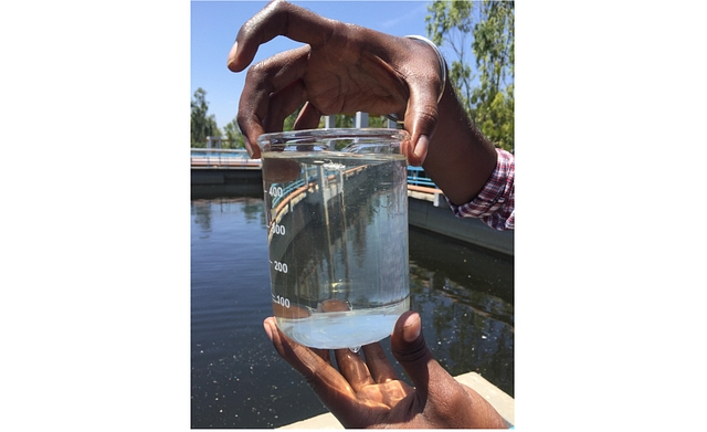 A sample of the treated effluent 