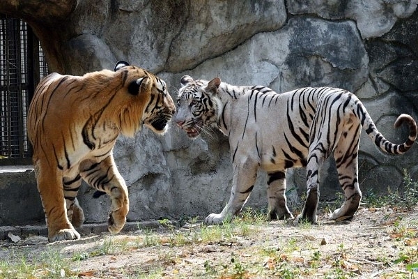 Representative Image. (Photo by Arvind Yadav/Hindustan Times via Getty Images)