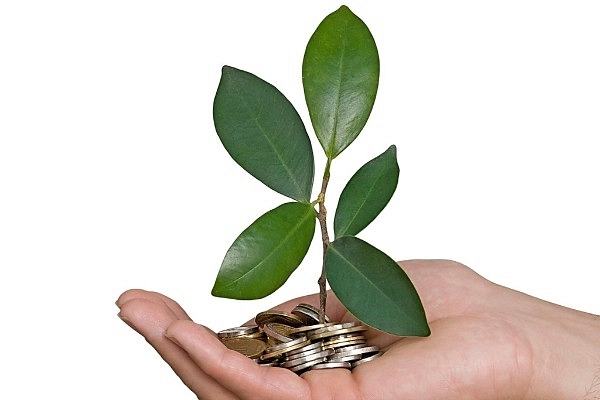 Green finance will be a big opportunity by 2025 (Wikimedia Commons)