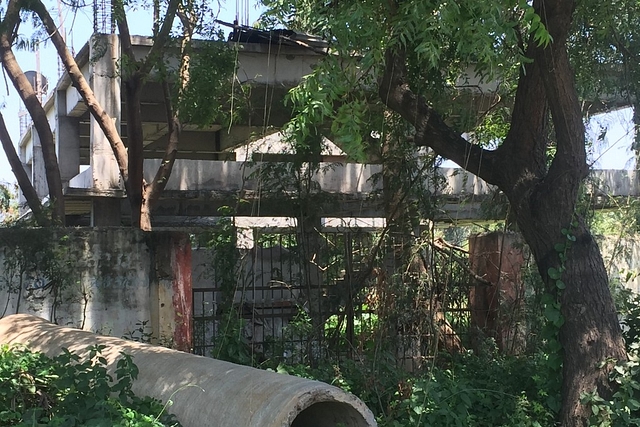 The Nanjundapuram STP surrounded by overgrowth.