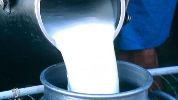 Relief For Dairy Consumers: With Elections In Mind, States To Regulate Milk Prices This Season