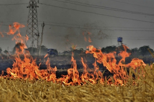 Farmers burning  stubble in wheat fields on the outskirts of Ludhiana. (Gurpreet Singh/Hindustan Times via GettyImages)