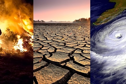 Climate Change: July 2019 Becomes Hottest On Record Since 1880, Arctic And Antarctic Sea Ice At Record Lows