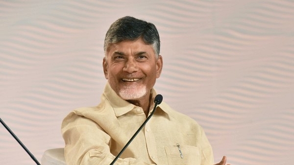 Andhra Pradesh Chief Minister Chandrababu Naidu (Sanjeev Verma/Hindustan Times via Getty Images)