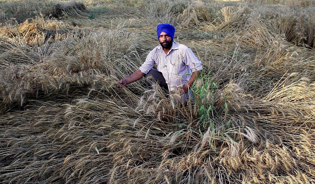 Time To Waive Off Farm Loan Waivers? Losses Rise To Over Rs 9000 Crores In Punjab