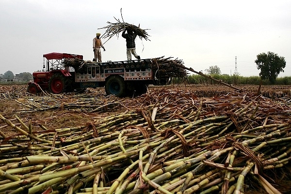 India To Become ‘Sugar Bowl Of The World’: Expected To Topple Brazil As World’s Largest Sugar Producer 