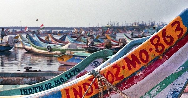 Harbour, Kasimedu, Chennai (Image: @TAZMPictures/Twitter)