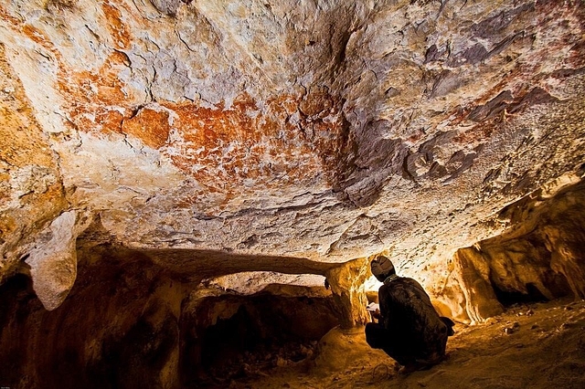 A 40,000-year-old painting of a cow in the Borneo caves is now the oldest cave painting by man. (image- Enlightened Ape (@Harvcaster) via Twitter)