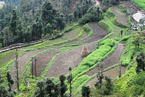 Agricultural land in Uttarakhand (@untrap_co/Twitter)