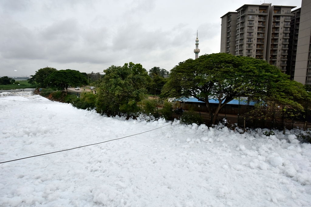 Boost For Bengaluru: MNCs To Invest Rs 700 Crore To Develop Lakes As Part Of CSR Initiatives