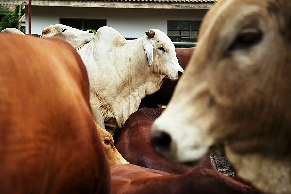 Representative Image (Ed Wray/Getty Images)