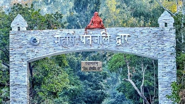 Entrance to the forest.