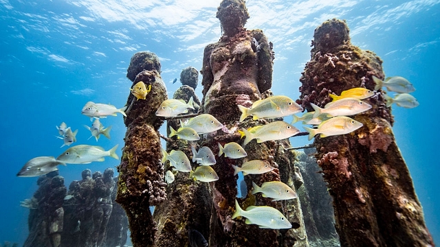 A school of fish swims past the underwater statues. (Representative Image) (Donald Miralle/Getty Images for Lumix)