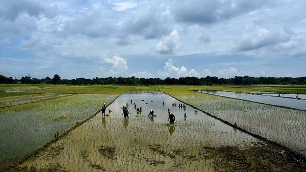 Representative image. (Rajib Jyoti Sarma/Hindustan Times via Getty Images)