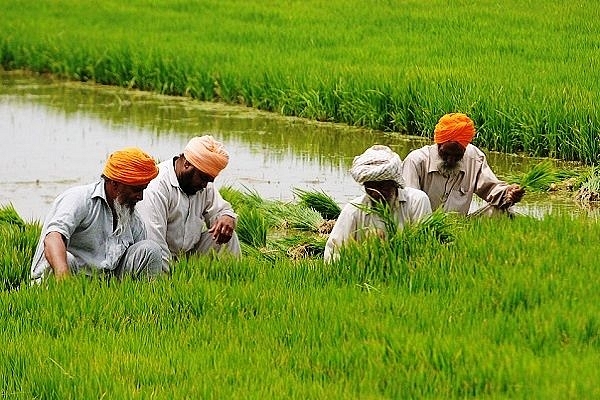 Reality Check: Were Indian Farmers Really Robbed Of Rs 45 Lakh Crore?