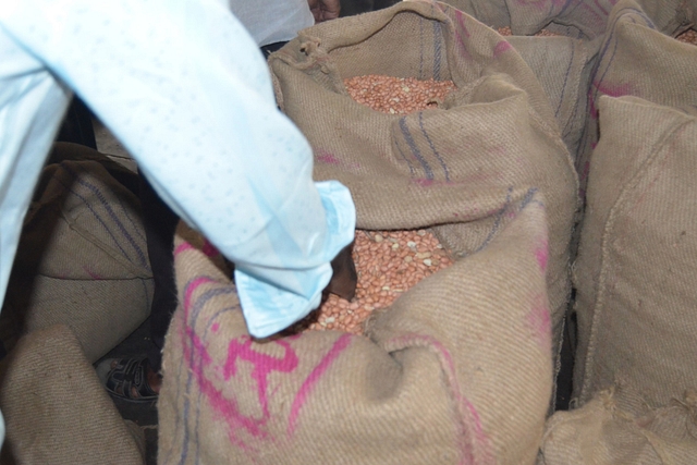 A trader examines the quality of a groundnut consignment at the Vellore Agricultural Produce Marketing Committee Yard in Tamil Nadu.